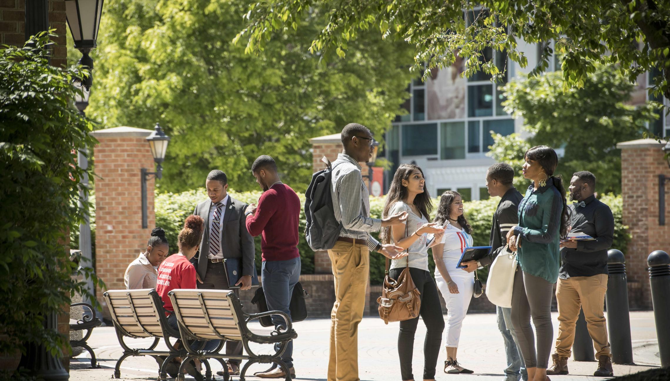 bingo plus rewards login