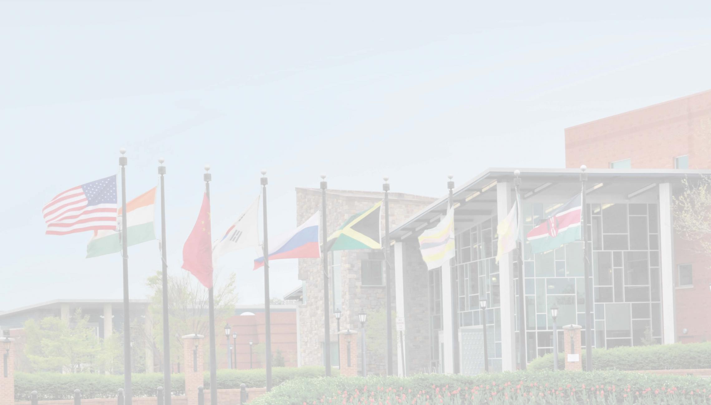 bingo plus net rewards login