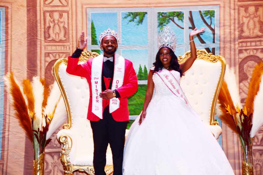 bingo plus rewards login